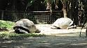 KL_Zoo_20100710_060