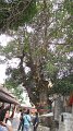 ChiangMai_Wat_DoiSuthep_20110226_053
