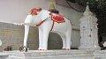 ChiangMai_Wat_DoiSuthep_20110226_058