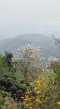 ChiangMai_Wat_DoiSuthep_20110226_090
