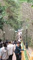 ChiangMai_Wat_DoiSuthep_20110226_116