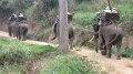 MaeSa_20110227_002