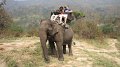 MaeSa_20110227_008