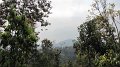 MaeSa_20110227_011
