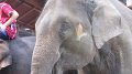 MaeSa_ElephantPark_20110227_004