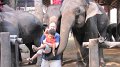 MaeSa_ElephantPark_20110227_007