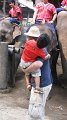 MaeSa_ElephantPark_20110227_009