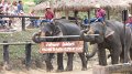 MaeSa_ElephantPark_20110227_013
