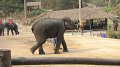 MaeSa_ElephantPark_20110227_017