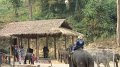 MaeSa_ElephantPark_20110227_019