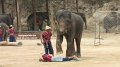 MaeSa_ElephantPark_20110227_032