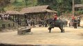 MaeSa_ElephantPark_20110227_036