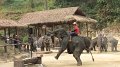 MaeSa_ElephantPark_20110227_037