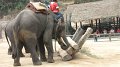 MaeSa_ElephantPark_20110227_040