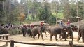 MaeSa_ElephantPark_20110227_041