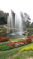 Sikrit_BotanicalGardens_20110227_027