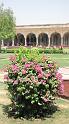 India_RedFort_Agra_20100425_039