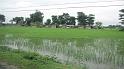 Damak_20100827_001