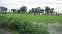Damak_20100827_002