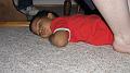 Caelen_20100916_003