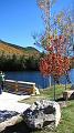 Vermont_20101010_012