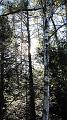 Vermont_20101010_014