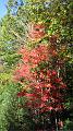 Vermont_20101010_015
