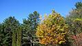 Vermont_20101010_016